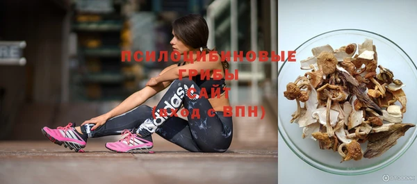 герыч Надым