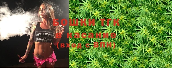 тгк Горняк