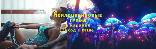 Альфа ПВП Горно-Алтайск