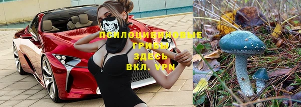 ешки Вяземский