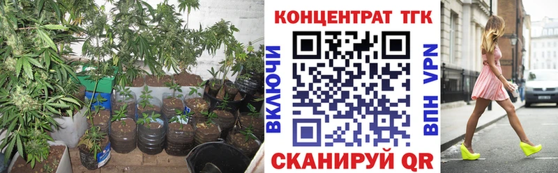 ОМГ ОМГ рабочий сайт darknet как зайти ТГК жижа Пикалёво