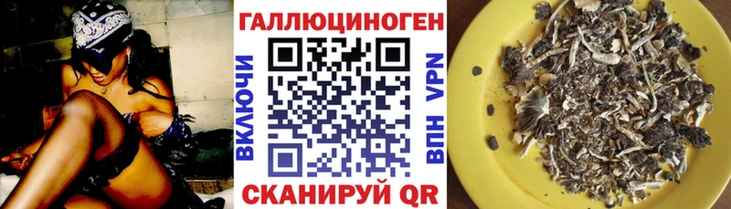 Псилоцибиновые грибы GOLDEN TEACHER Пикалёво